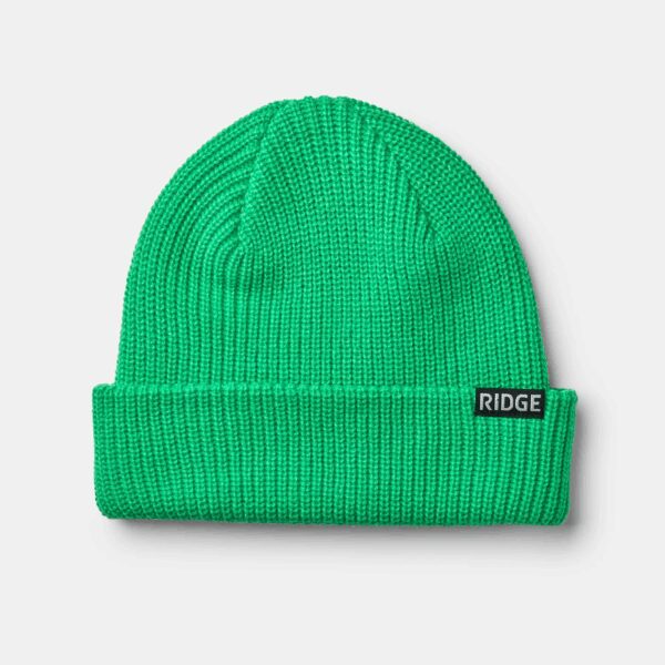 Classic Cuff Beanie Voodoo Green